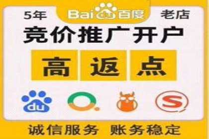竞价开户策略：成功案例解读